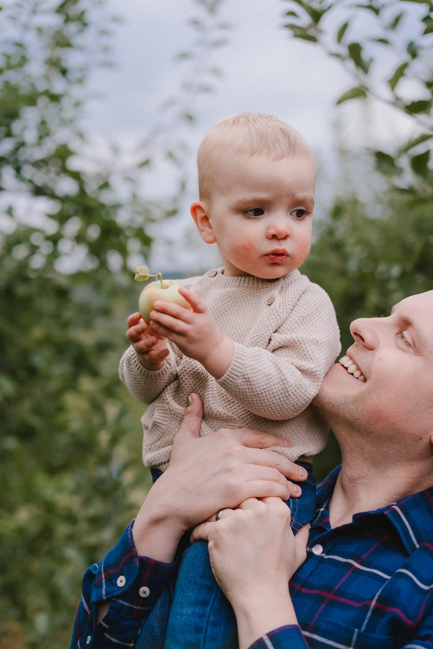 An apple orchard family session