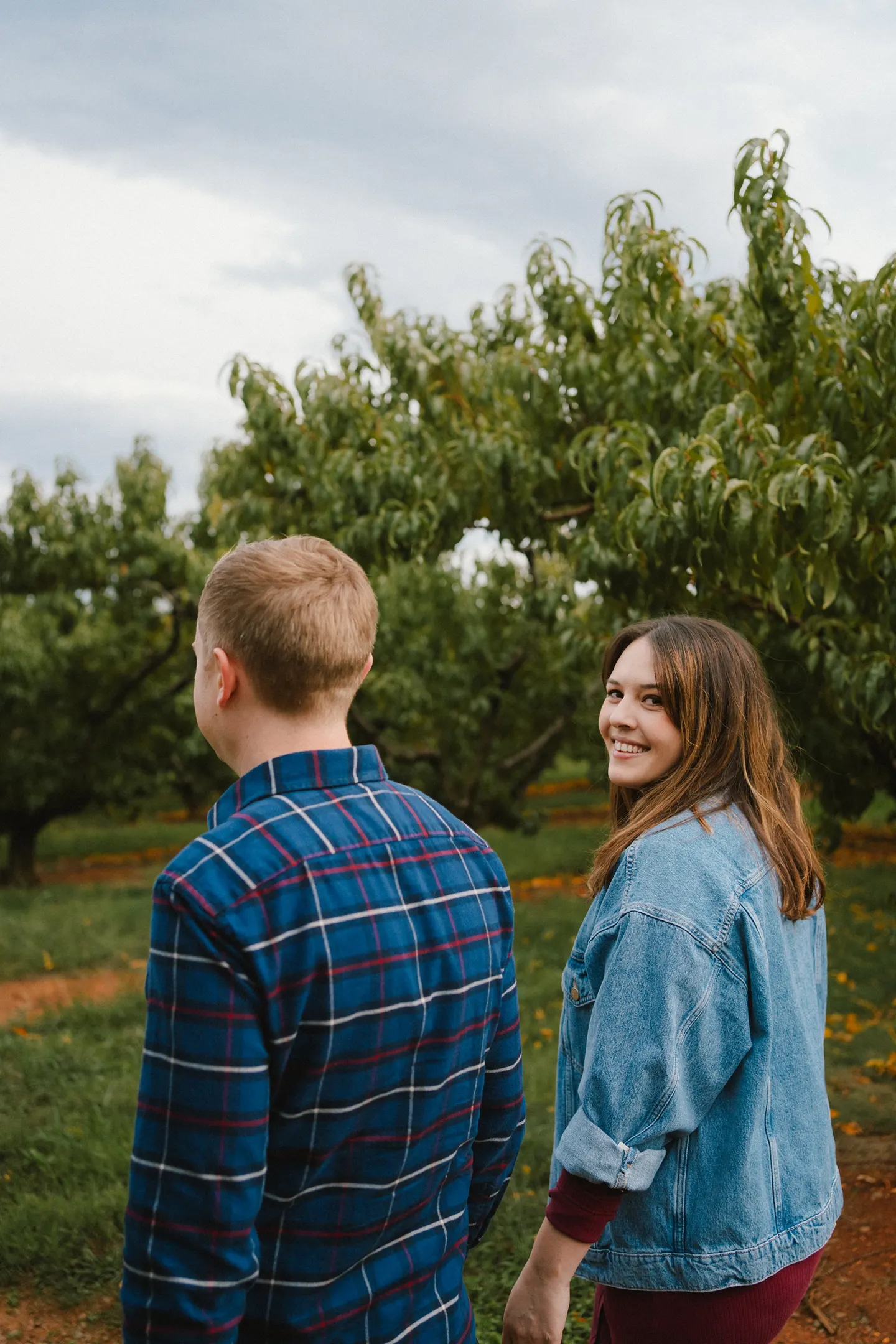 An apple orchard family session