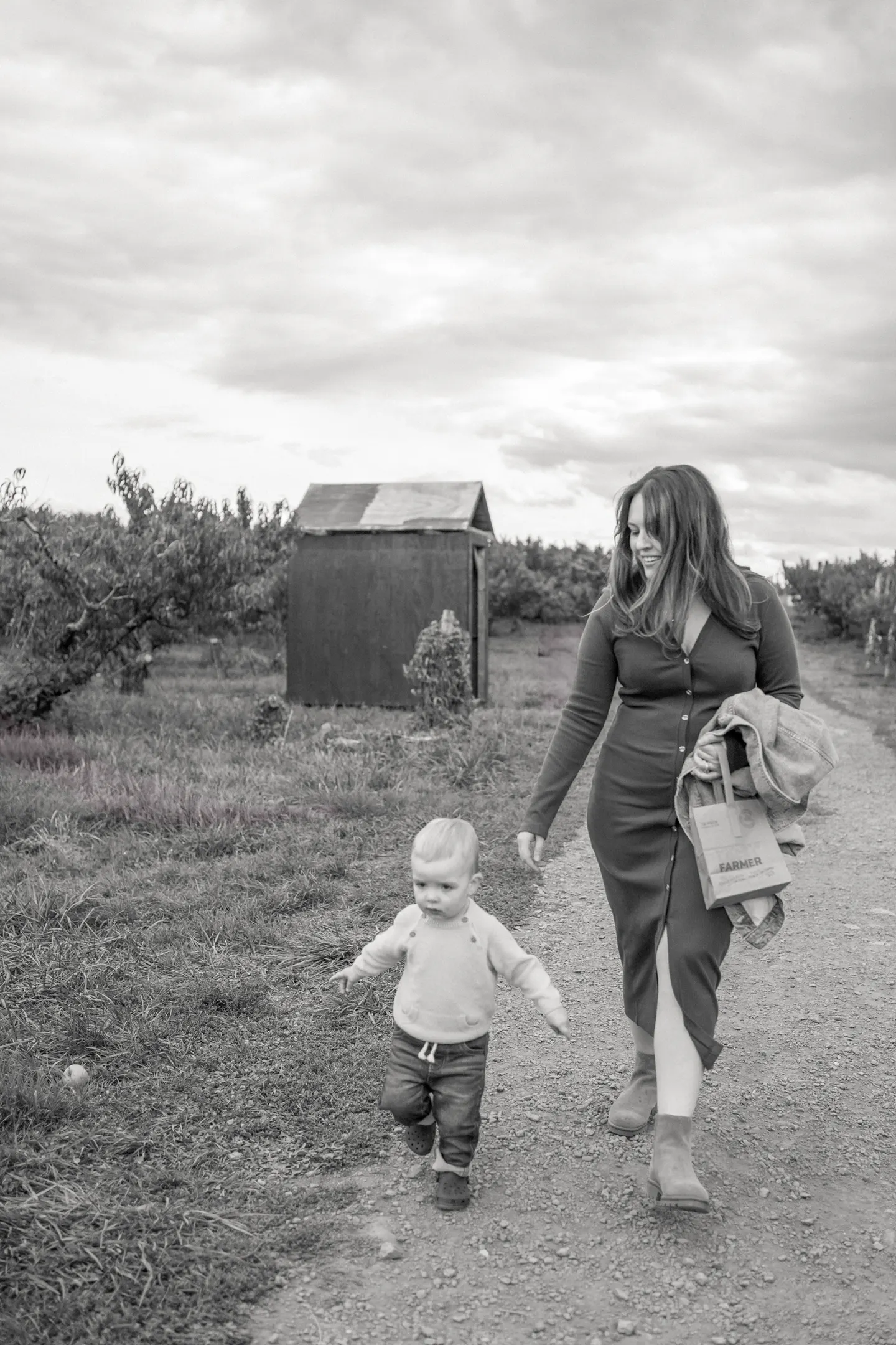 An apple orchard family session