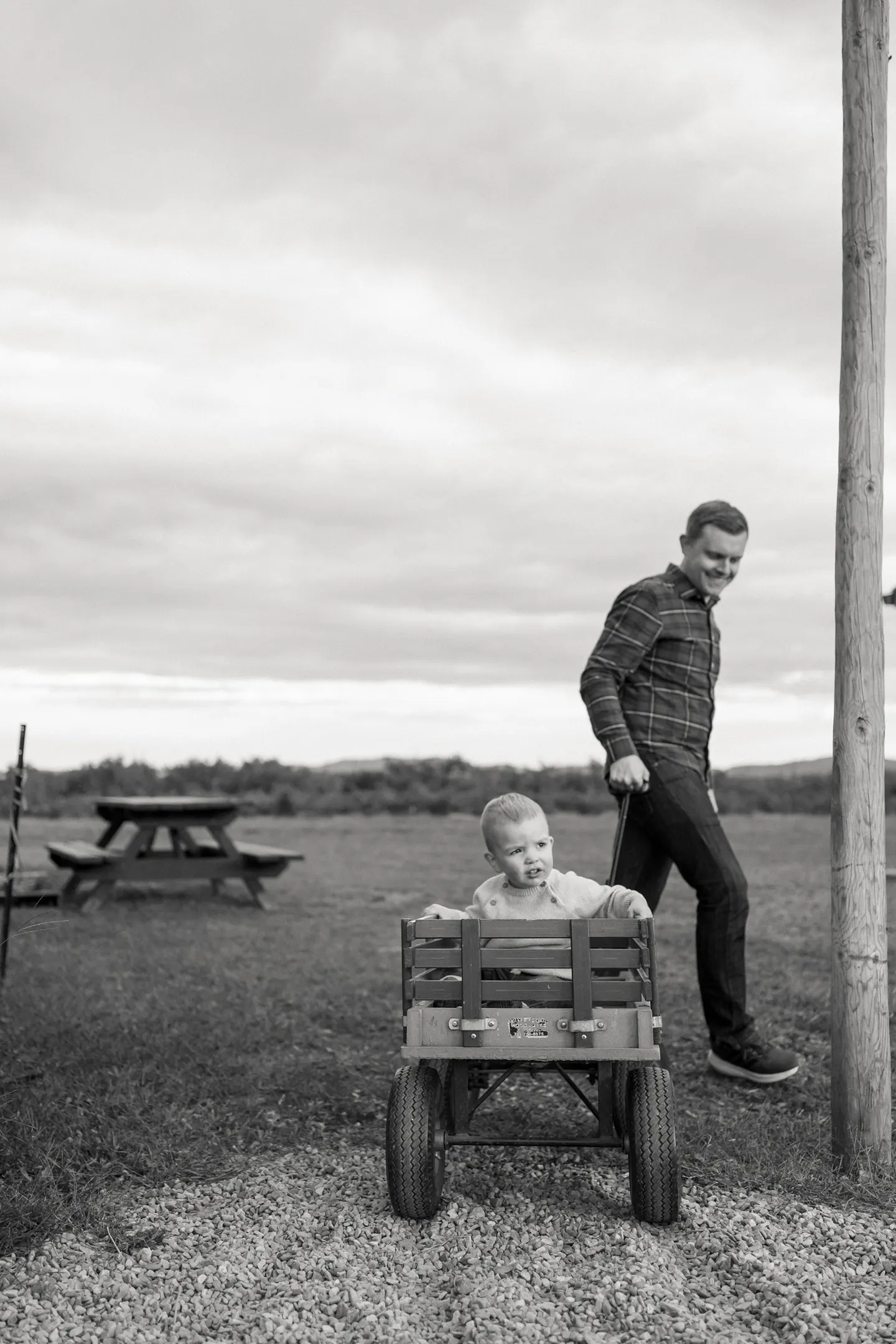 An apple orchard family session