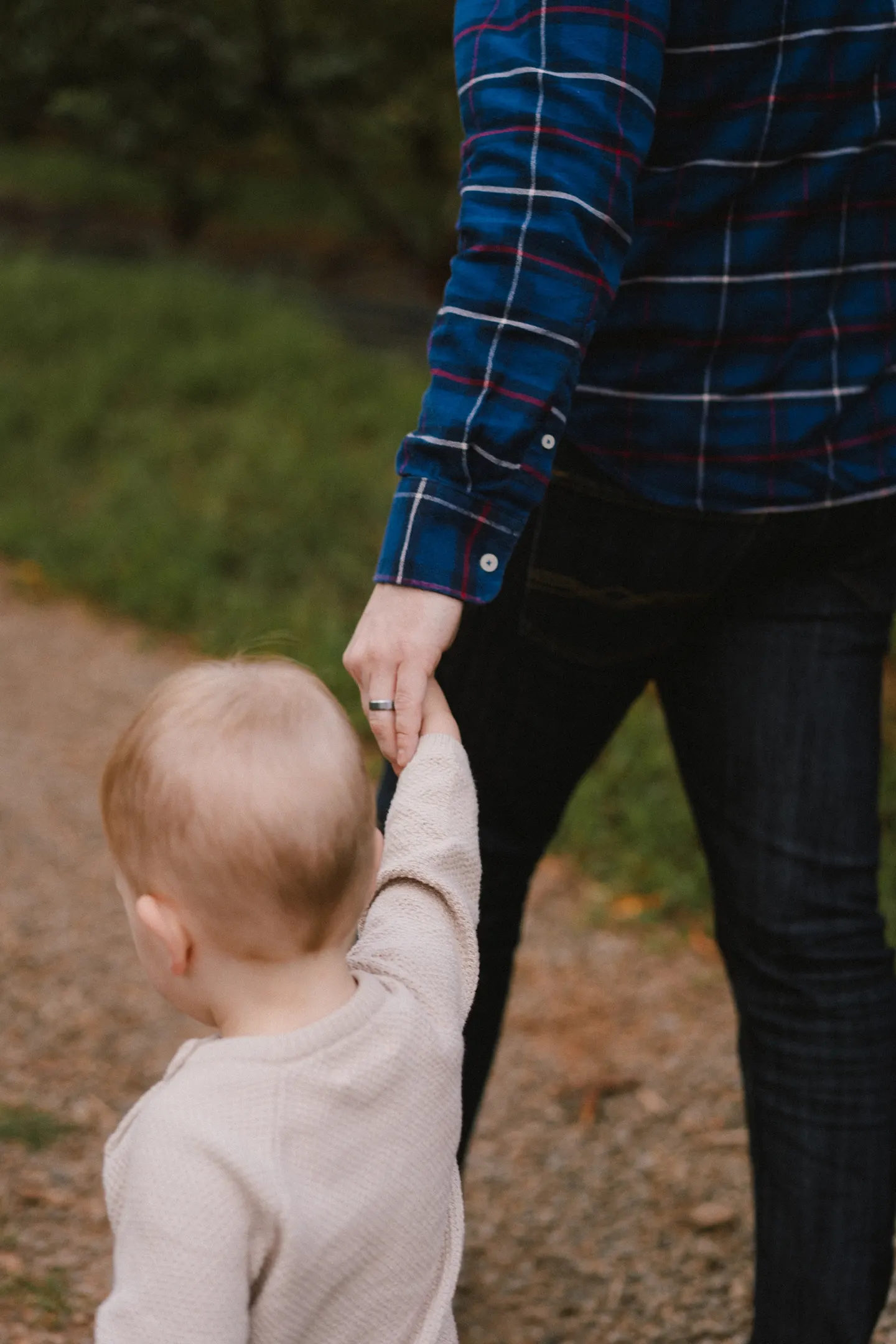 An apple orchard family session