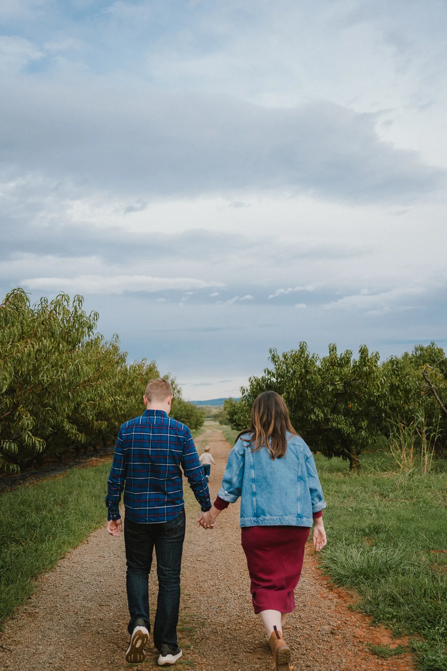 An apple orchard family session