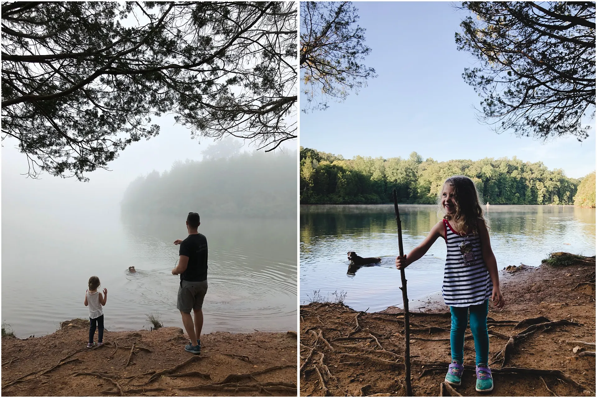 Things to do in Charlottesville with kids