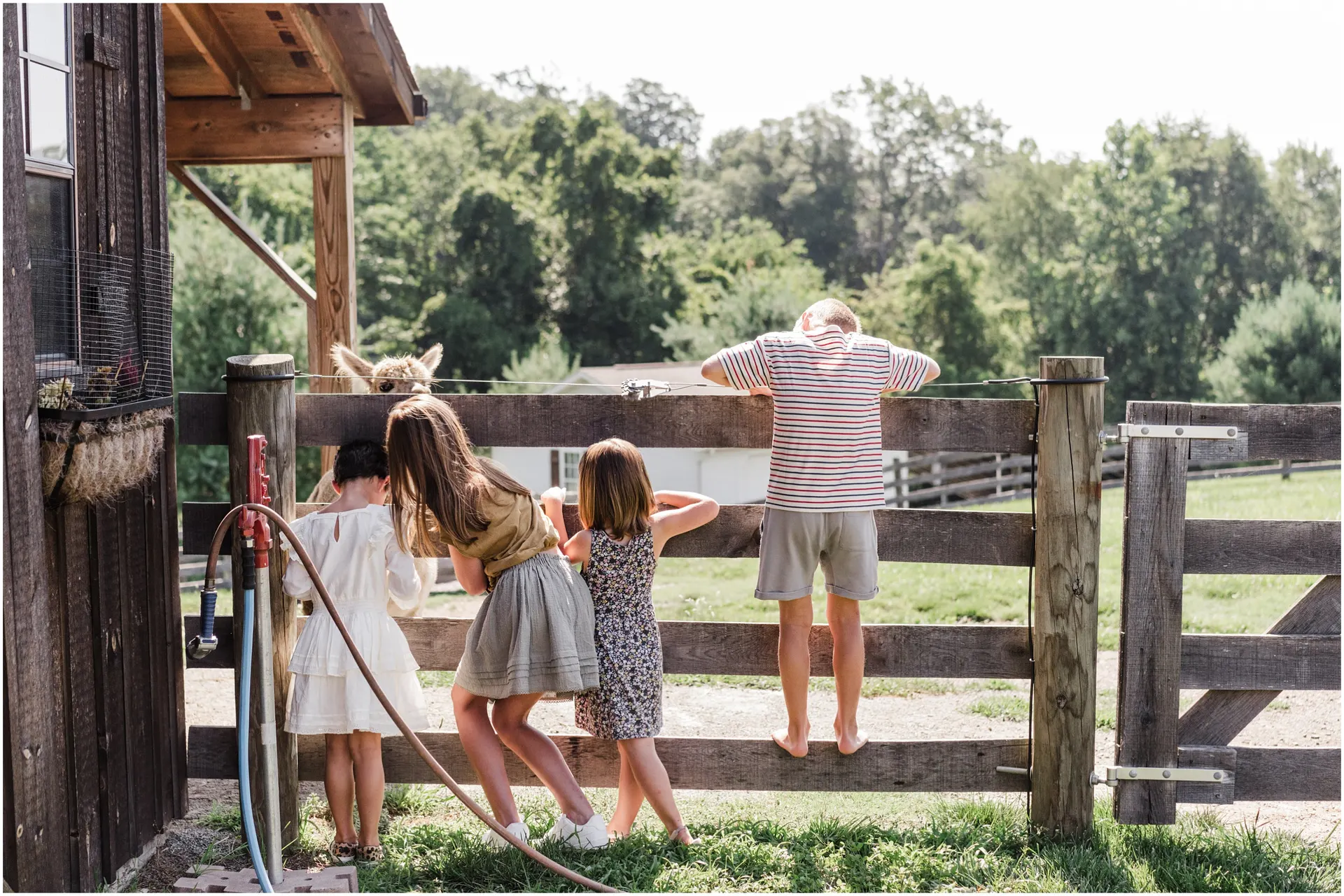 Backyard extended family photos in Charlottesville