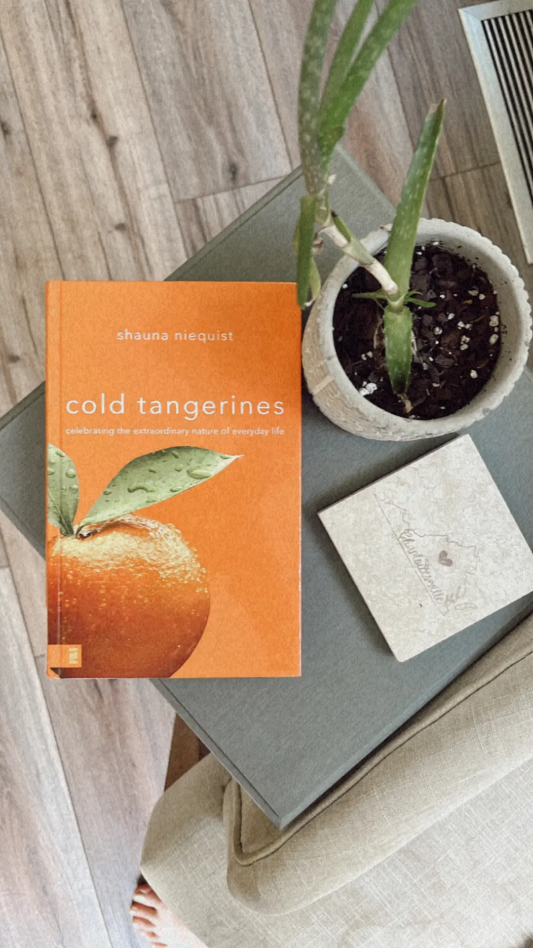 favorite books of 2023 for new moms