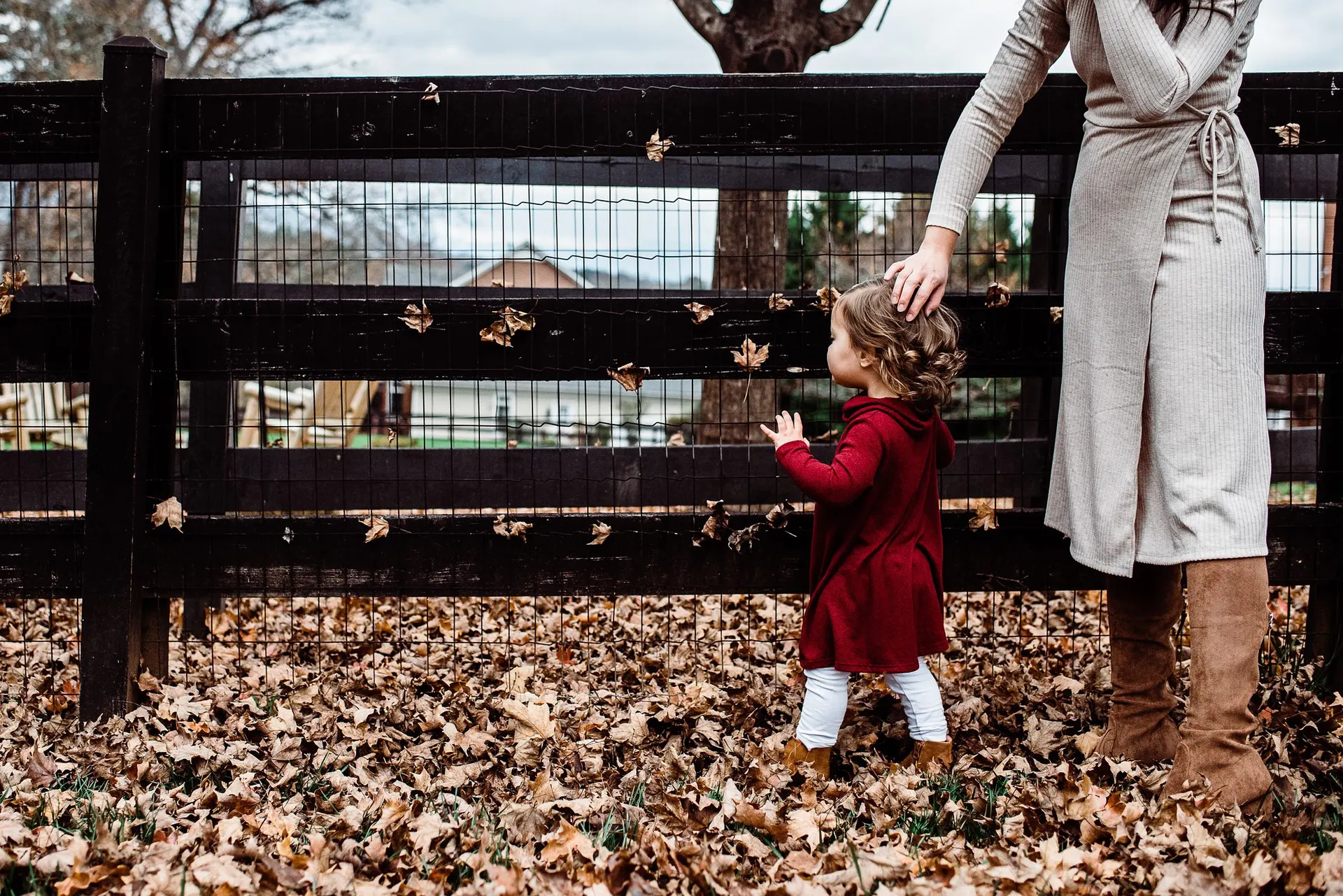 What’s the big deal about fall family photos