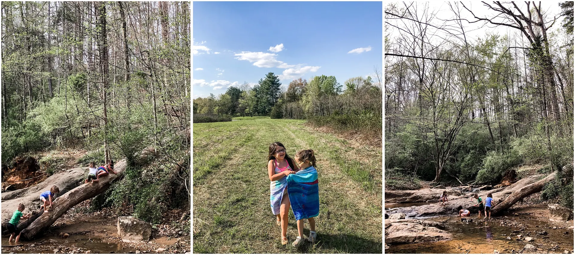 Things to do in Charlottesville with kids