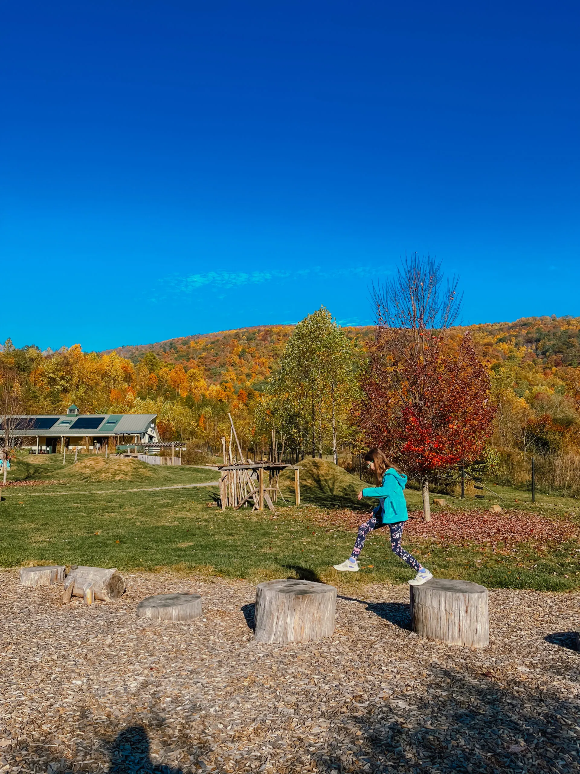 Things to do in Charlottesville with kids