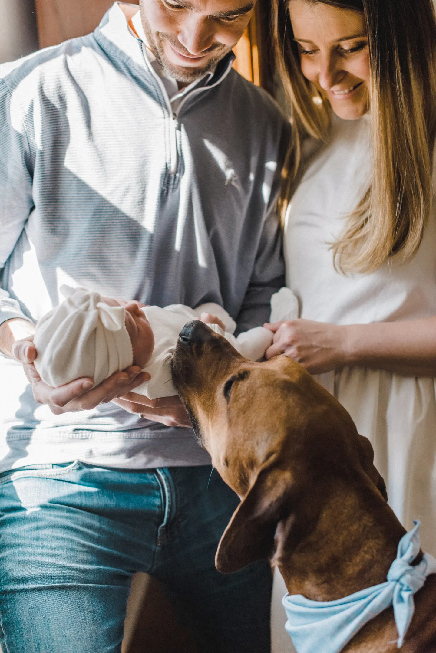 home newborn photos in Charlottesville with dog