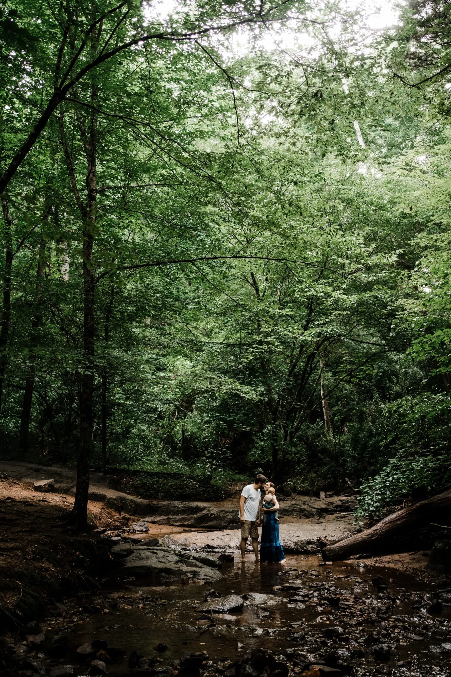 Favorite locations for family photos in Charlottesville