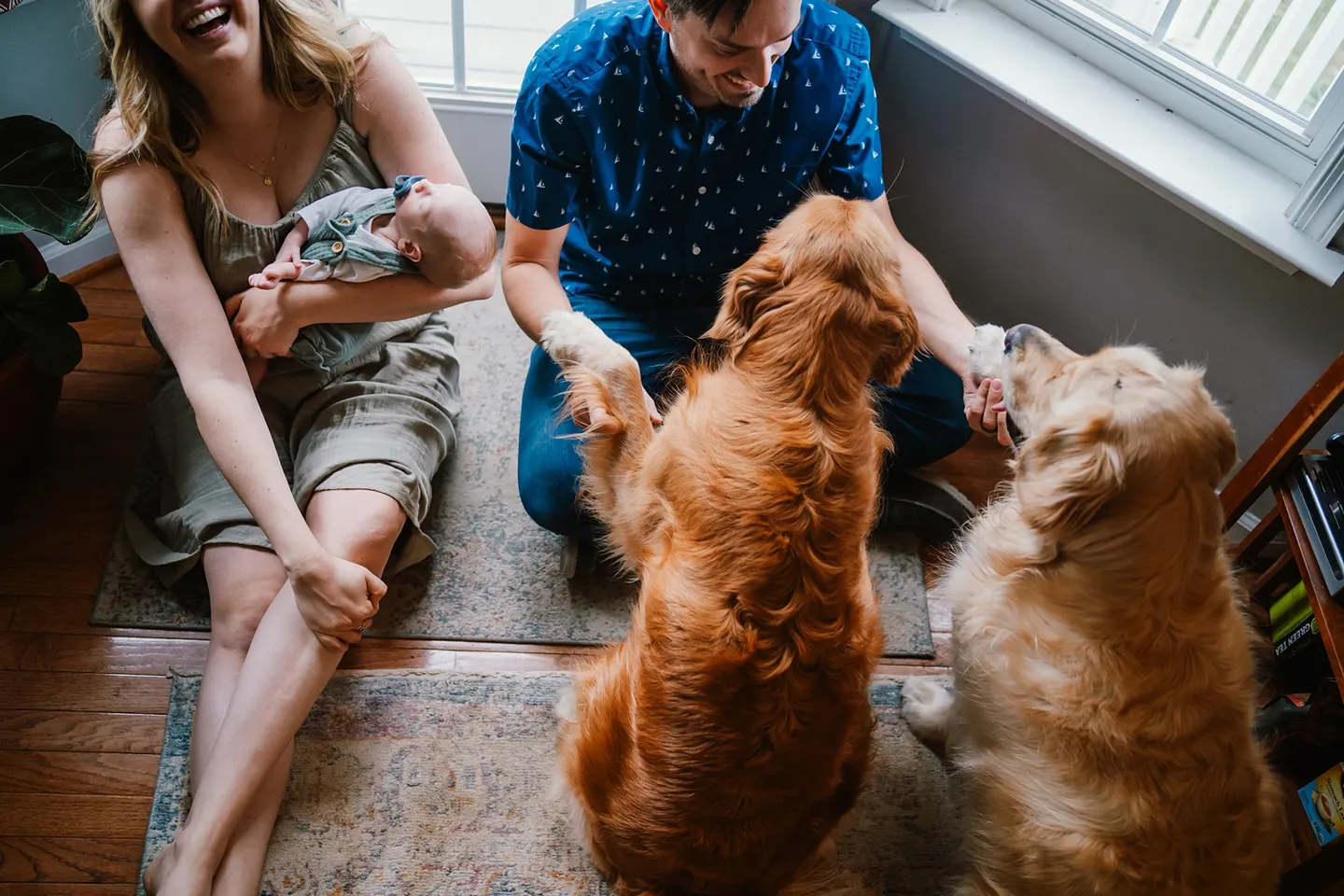posing ideas for newborn photos with dogs