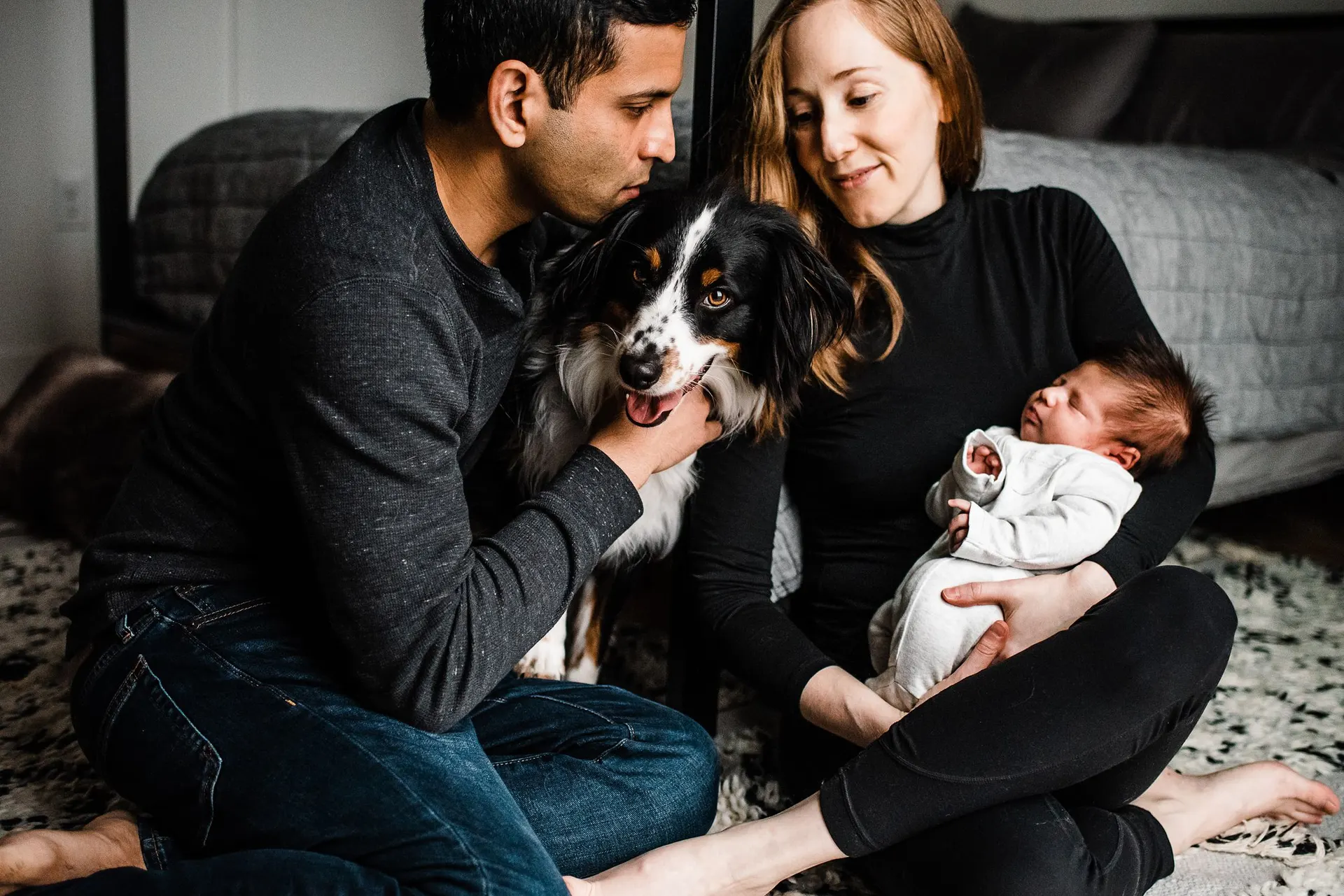 4 Tips for family photos with your dog