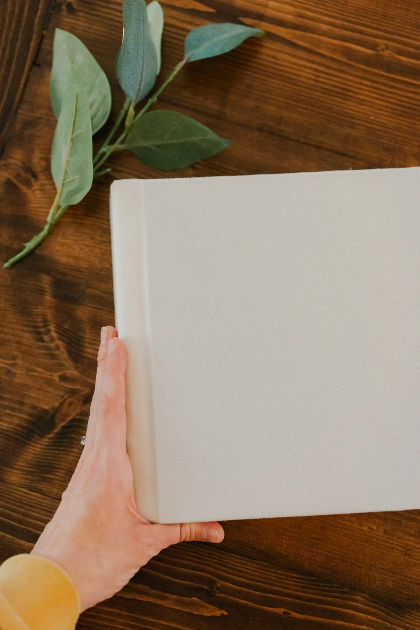 History of Pricing Part II: Growing a business and babies, my biggest game-changers, and where I’ve landed